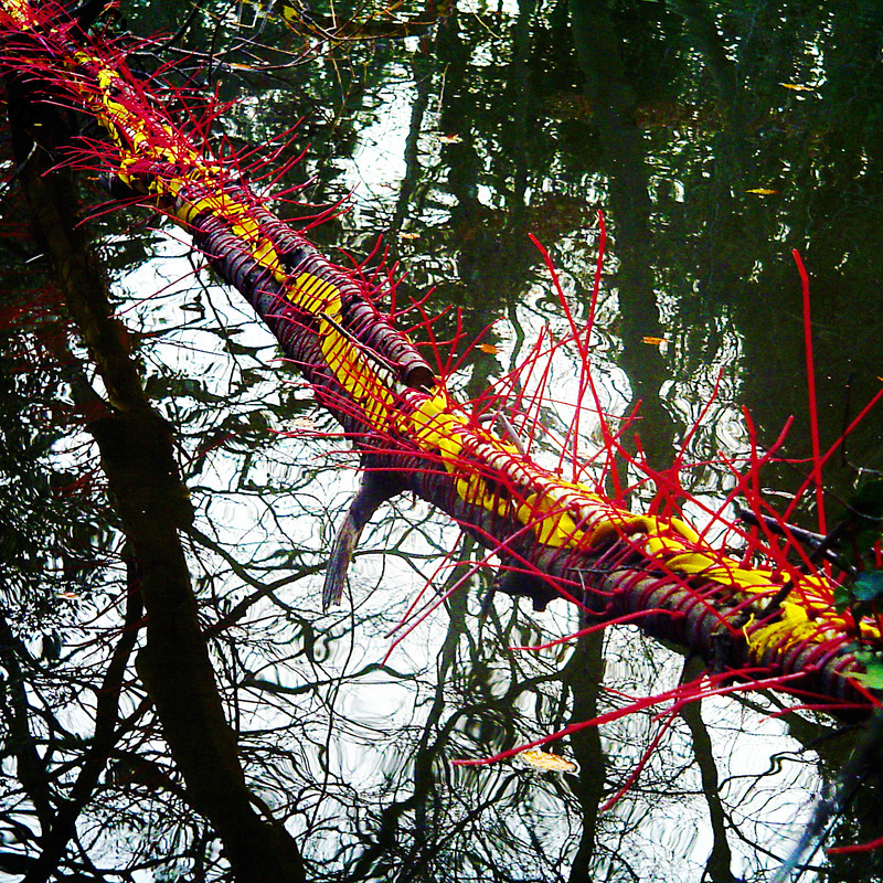 The Line - 0,15 m x 76 m2, wood, plastic, yellow strap, iron, rope