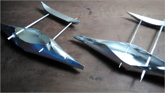 Sturgeon models