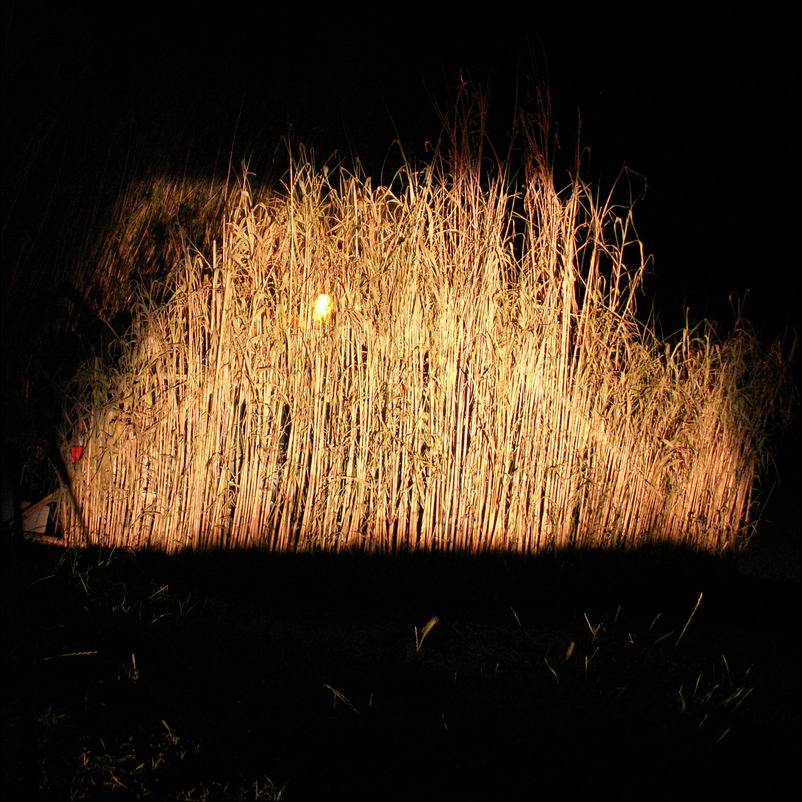 Camouflage - 5 x 7 x 3 m, car, bamboo, video, straw, cement