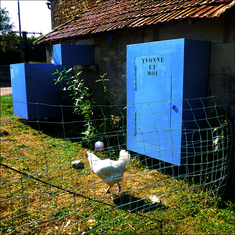 Poulailler - 6 x 6 x 3 m, wood, hen, egg, stones, iron, straw, water, grains